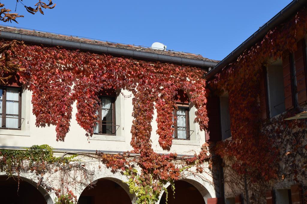 I Giardini Segreti Di Villa Marcello Marinelli 塞森瓦玛里诺 外观 照片